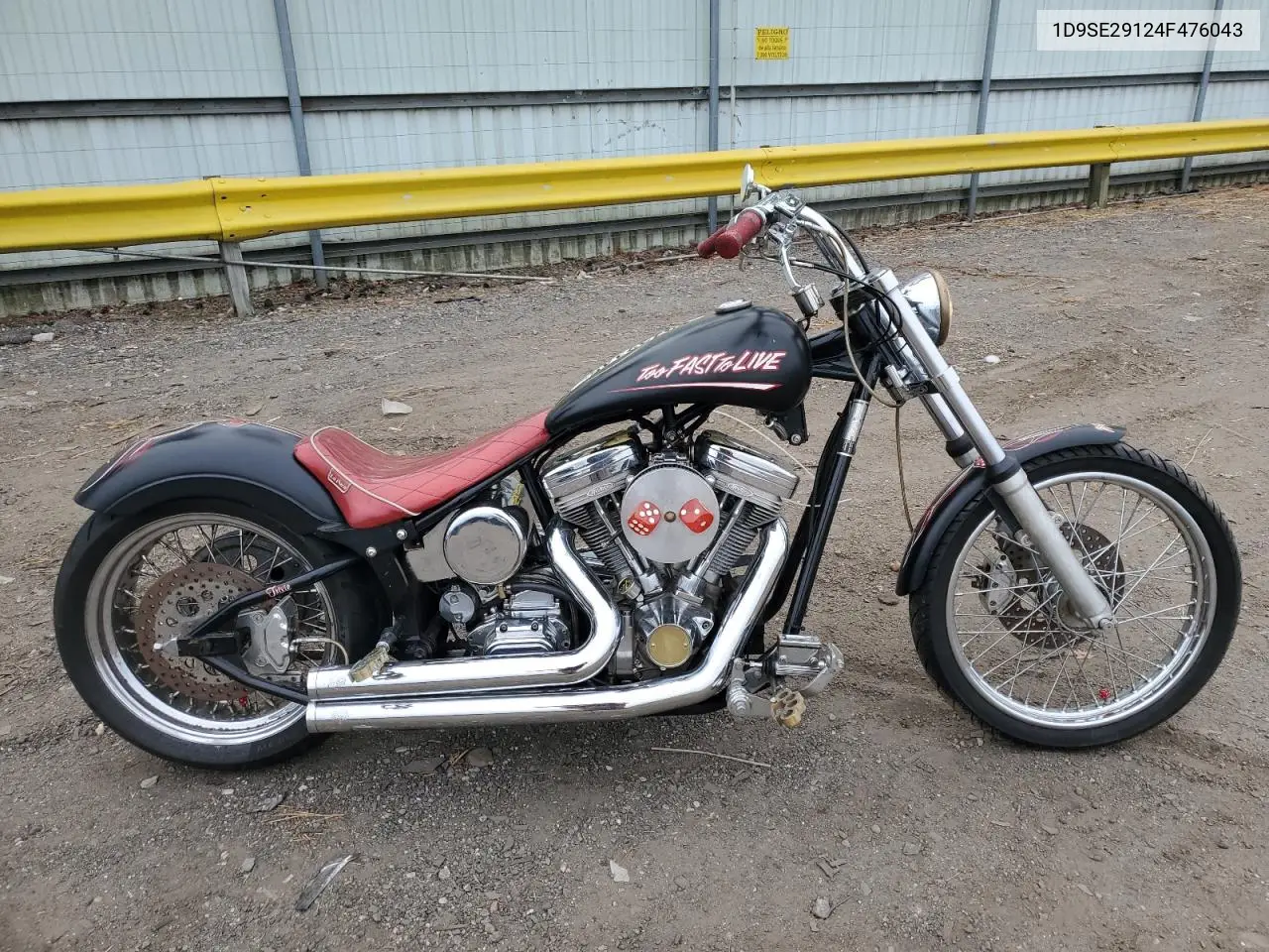 1D9SE29124F476043 2004 Other Motorcycle Speed Demon