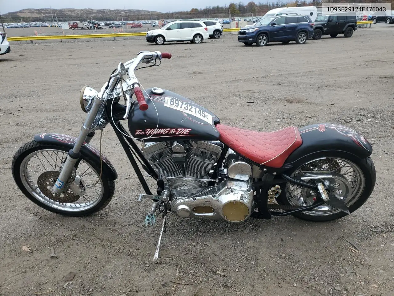 1D9SE29124F476043 2004 Other Motorcycle Speed Demon