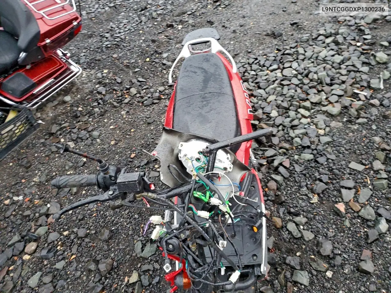 L9NTCGGDXP1300236 2023 Taot Scooter