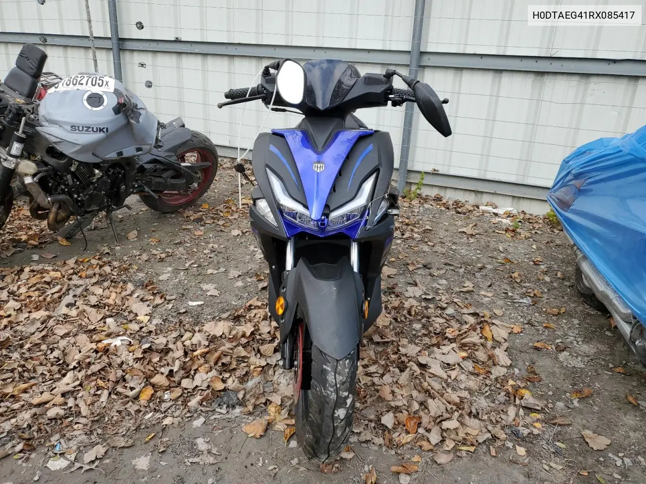 H0DTAEG41RX085417 2024 True Other