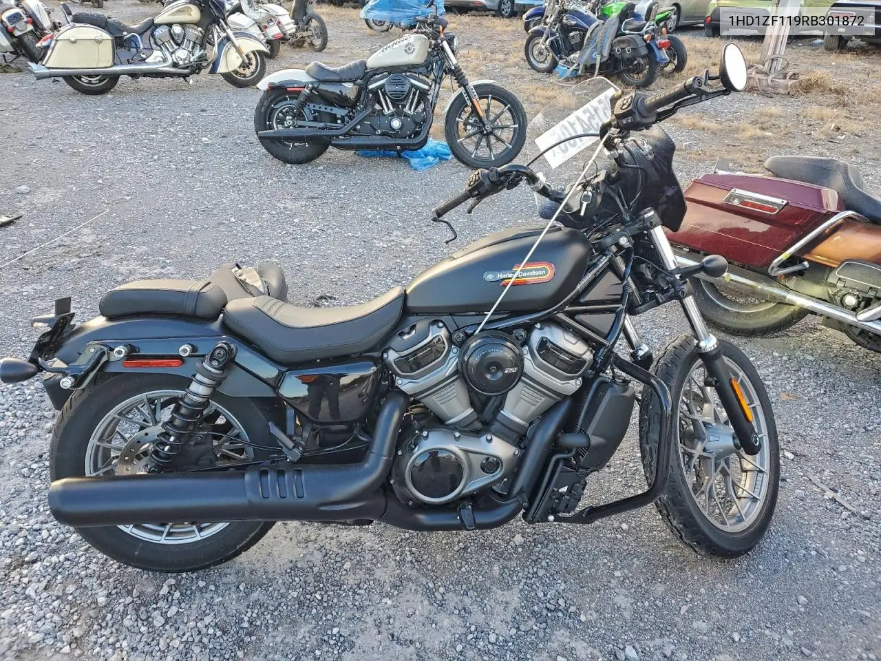 2024 Halr Sportster VIN: 1HD1ZF119RB301872 Lot: 95154105