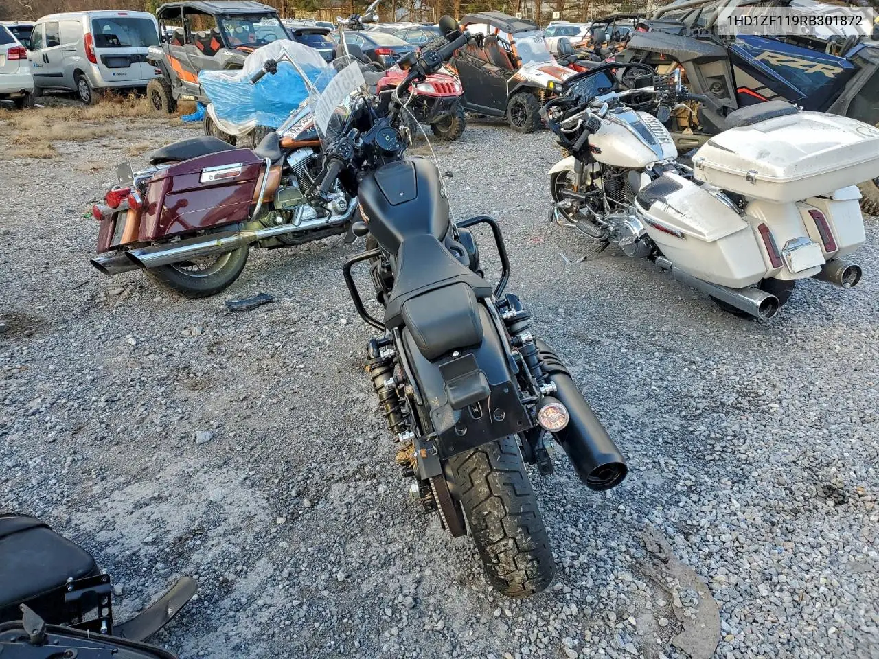 2024 Halr Sportster VIN: 1HD1ZF119RB301872 Lot: 95154105
