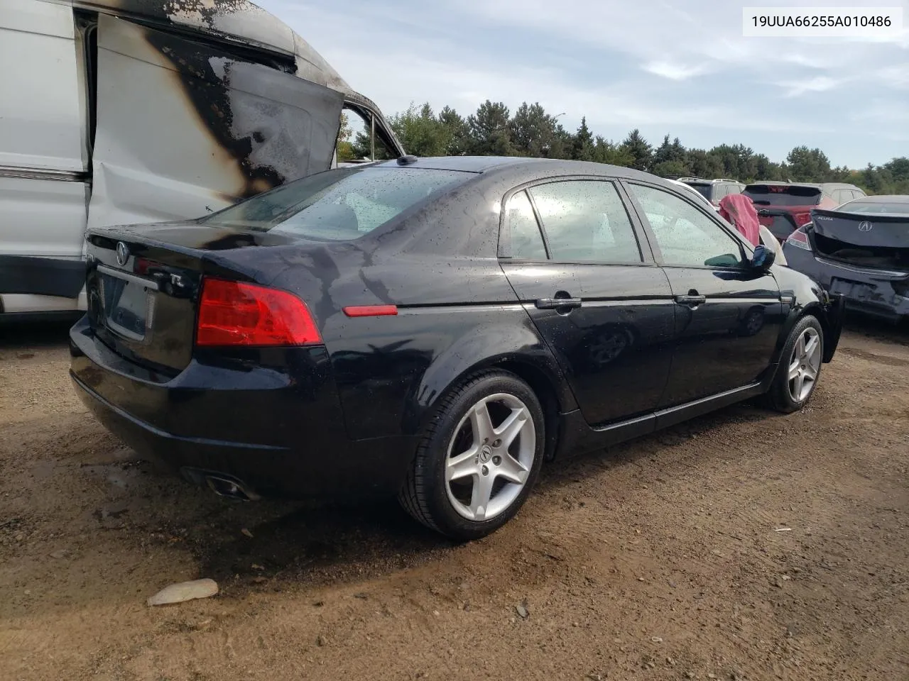 19UUA66255A010486 2005 Acura Tl