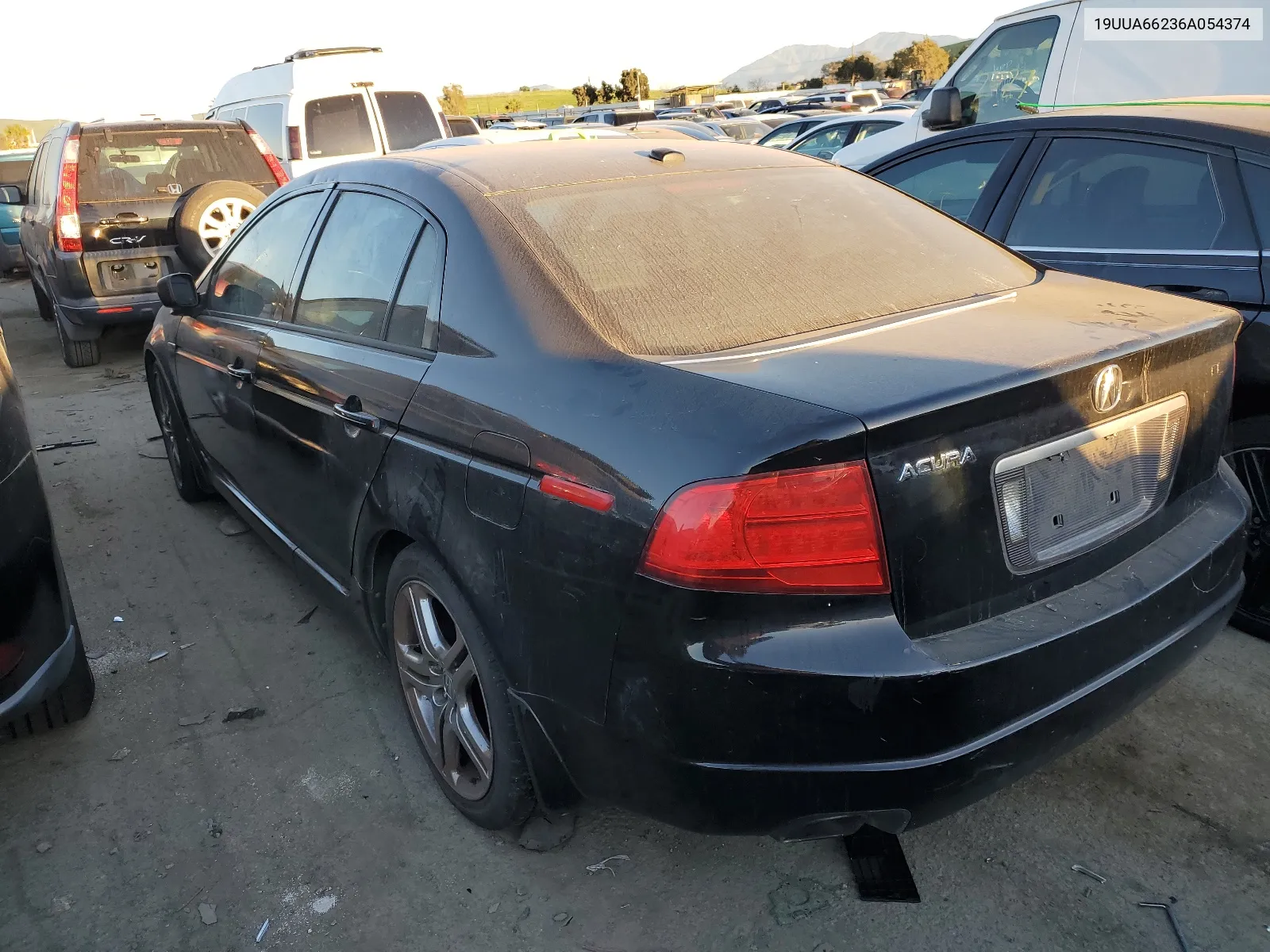 19UUA66236A054374 2006 Acura 3.2Tl