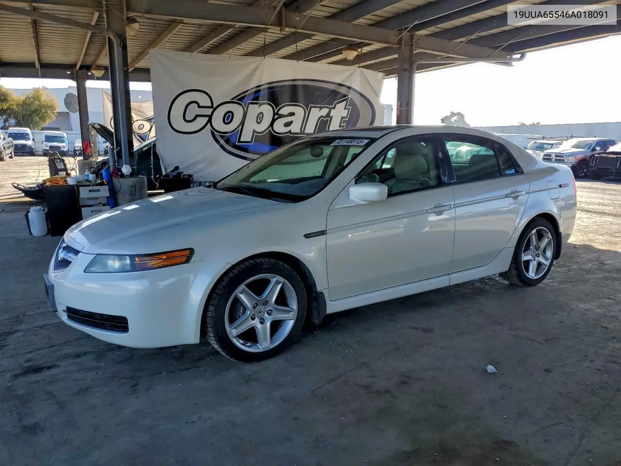 19UUA65546A018091 2006 Acura 3.2Tl