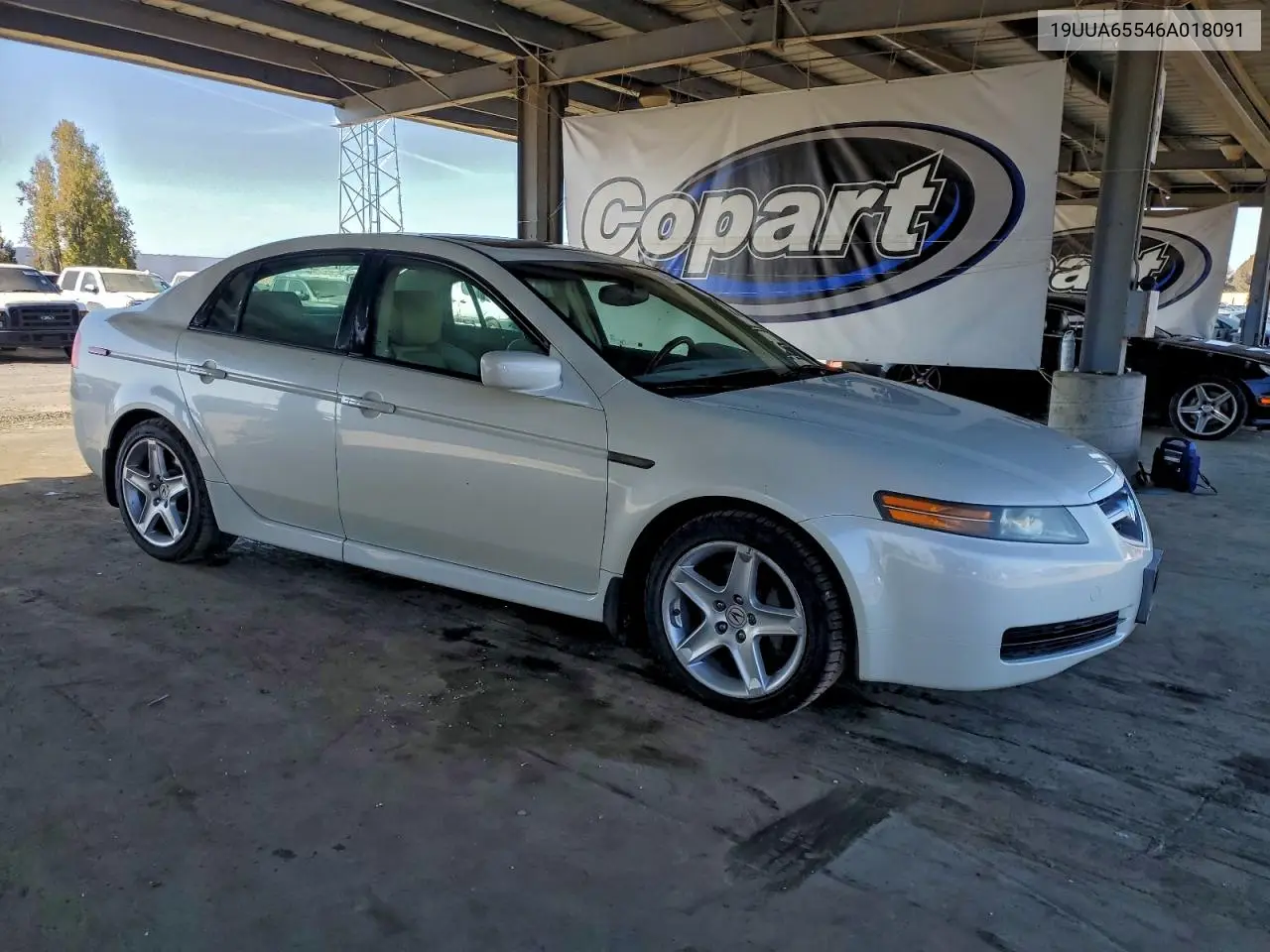 19UUA65546A018091 2006 Acura 3.2Tl