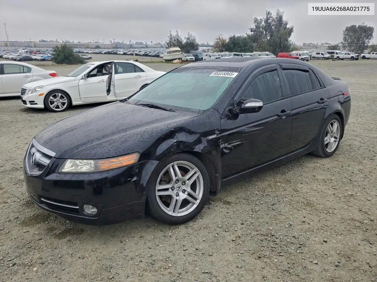 19UUA66268A021775 2008 Acura Tl