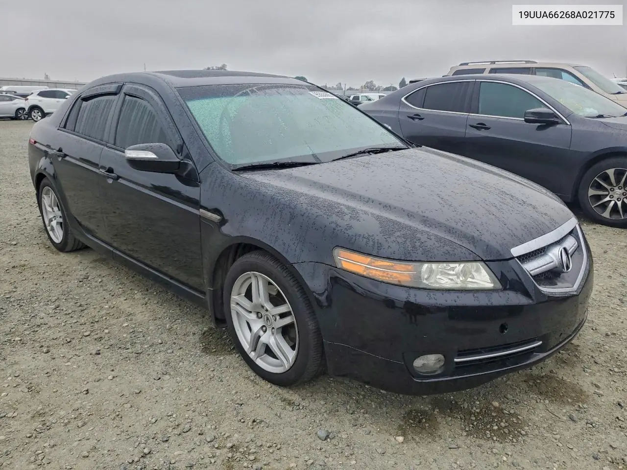 19UUA66268A021775 2008 Acura Tl