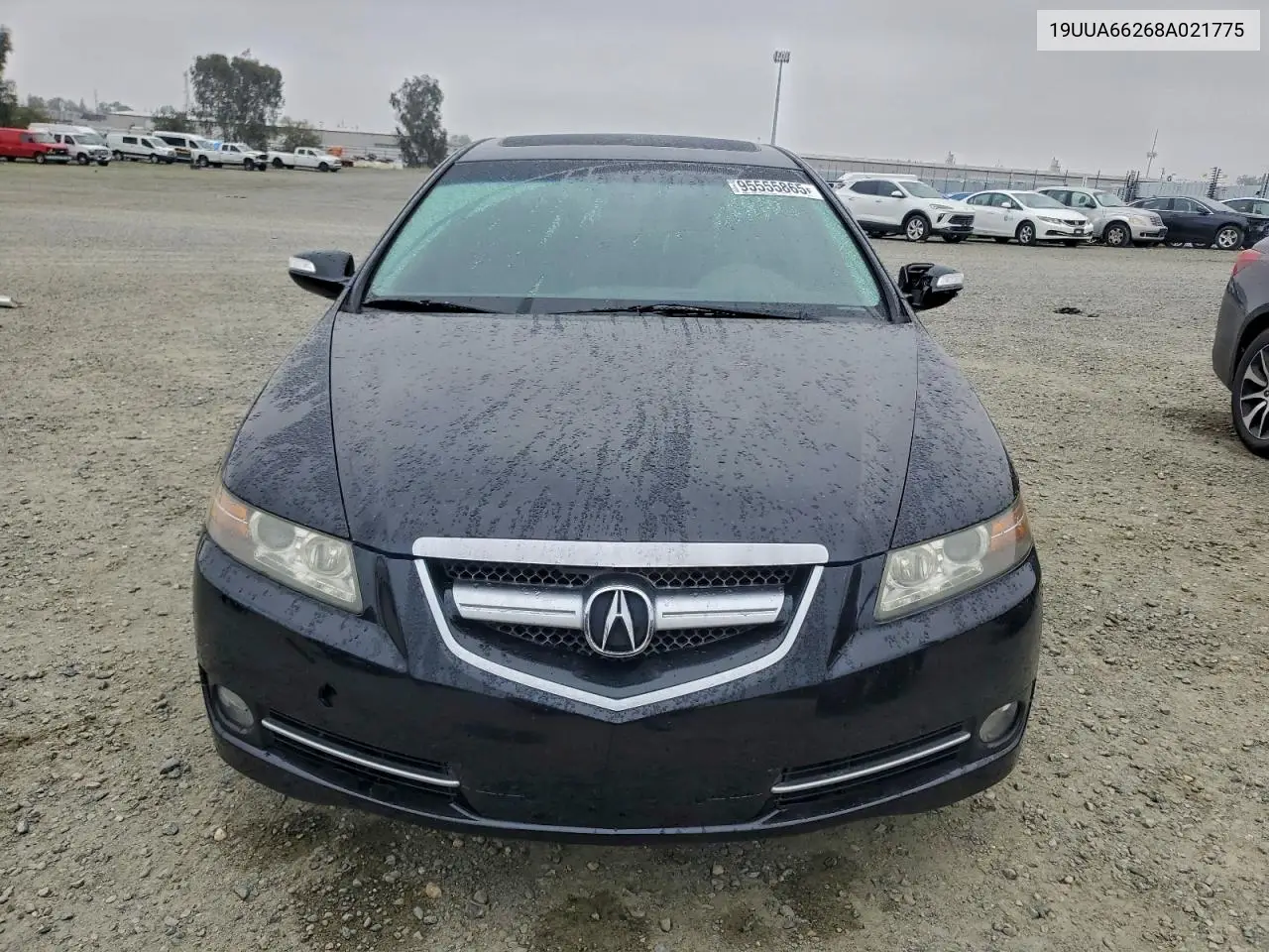 19UUA66268A021775 2008 Acura Tl