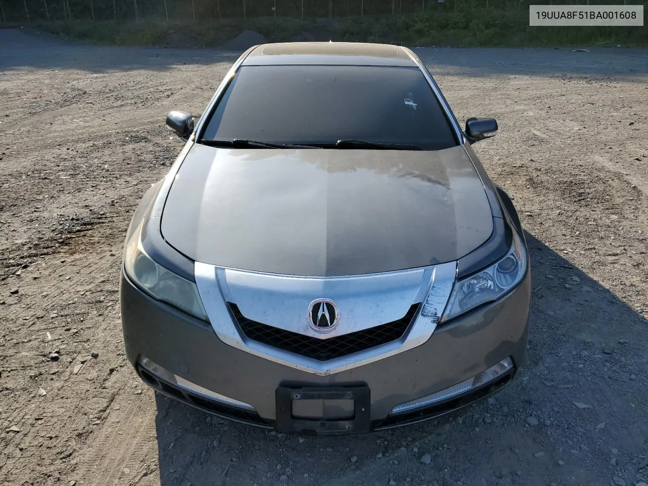 19UUA8F51BA001608 2011 Acura Tl