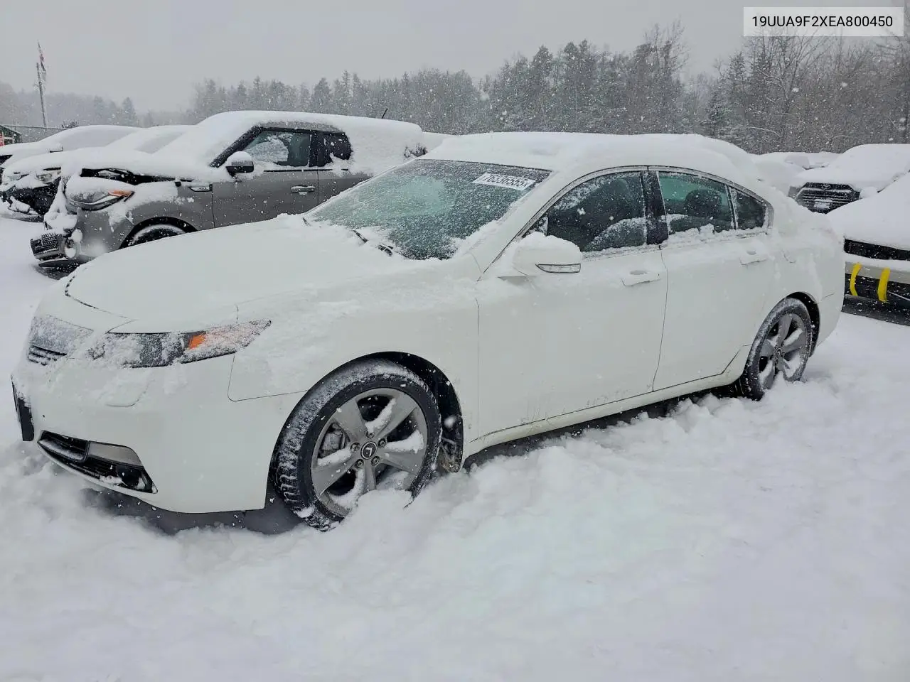 19UUA9F2XEA800450 2014 Acura Tl
