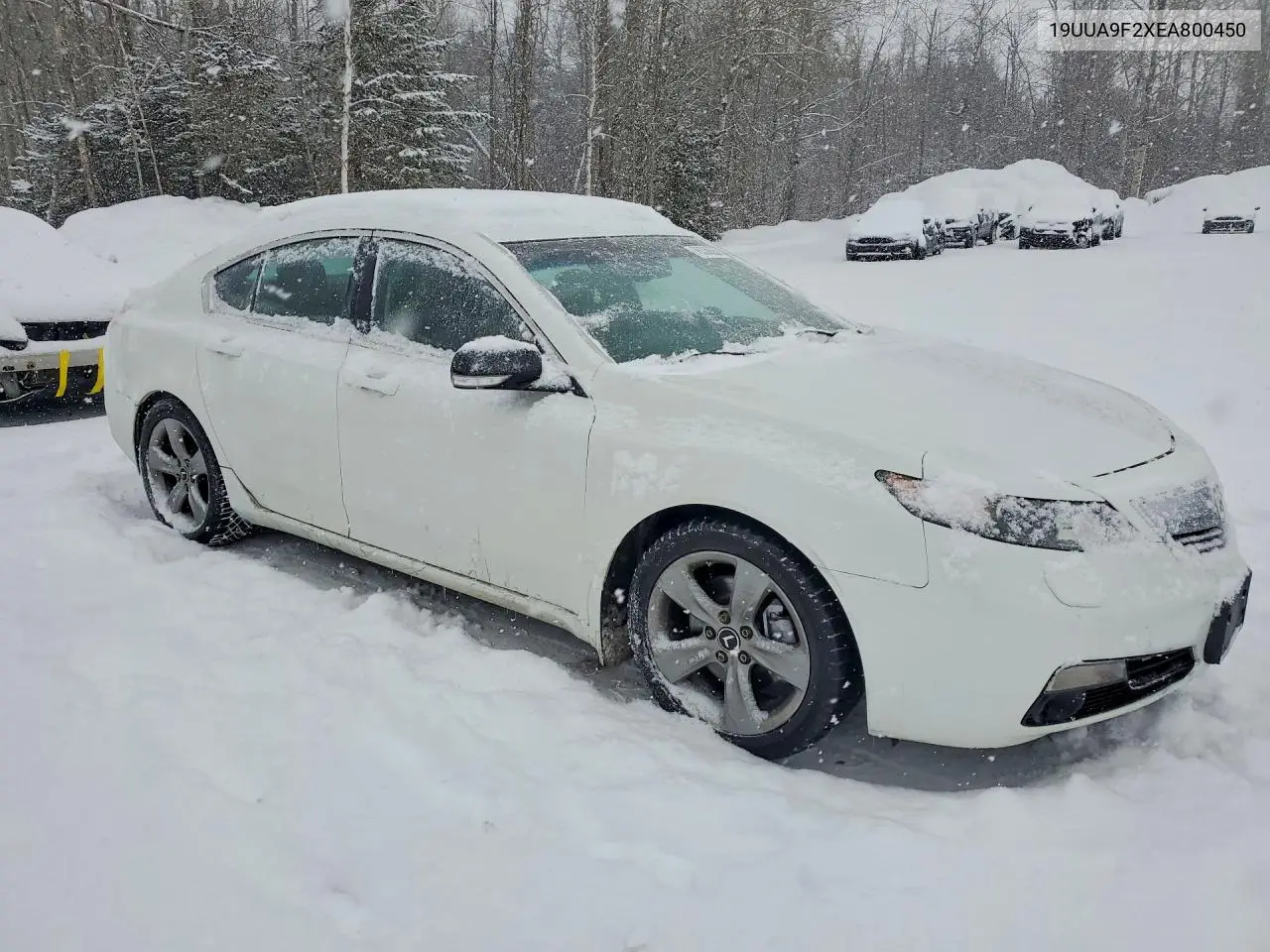 19UUA9F2XEA800450 2014 Acura Tl