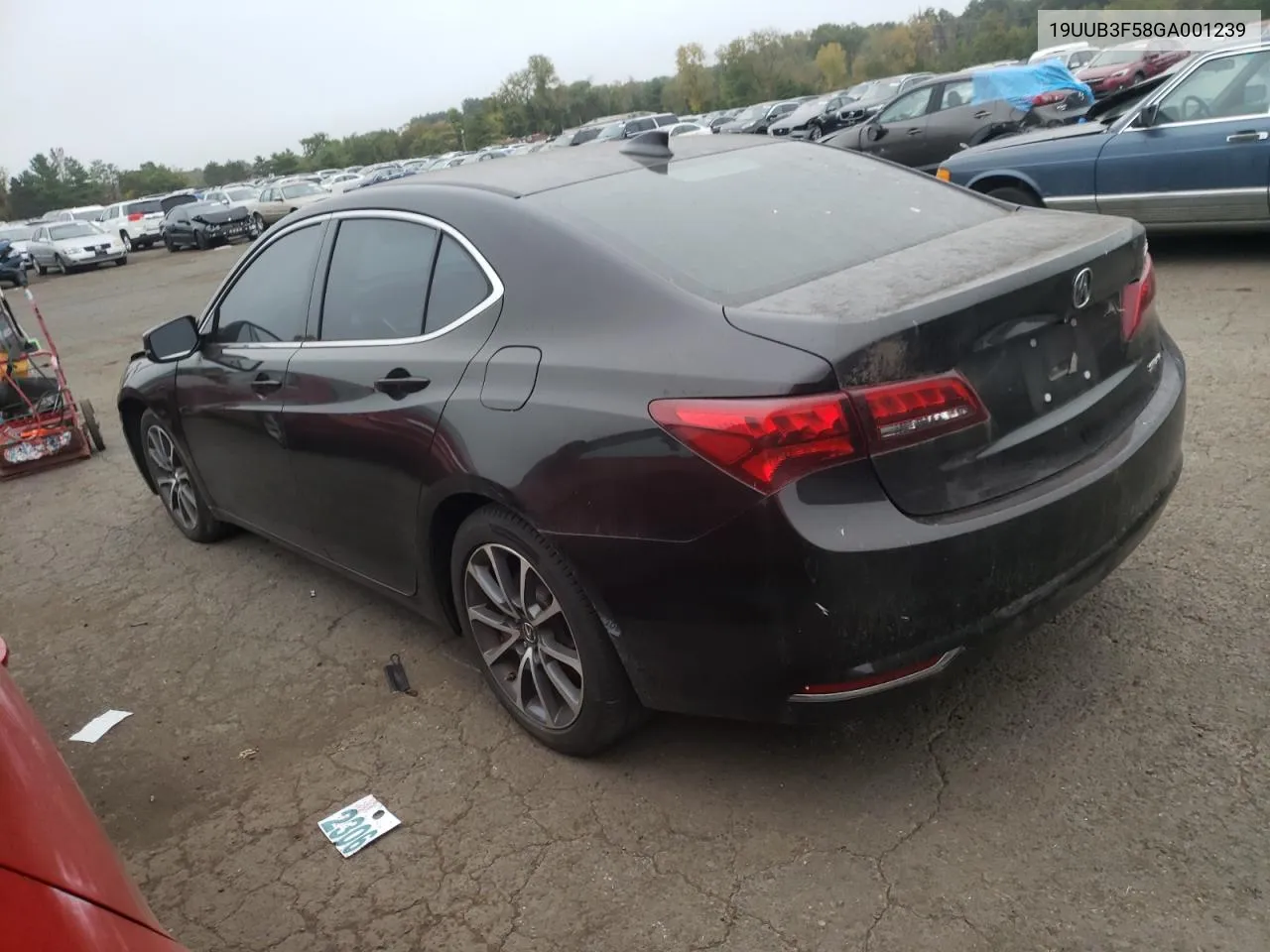 19UUB3F58GA001239 2016 Acura Tlx Tech