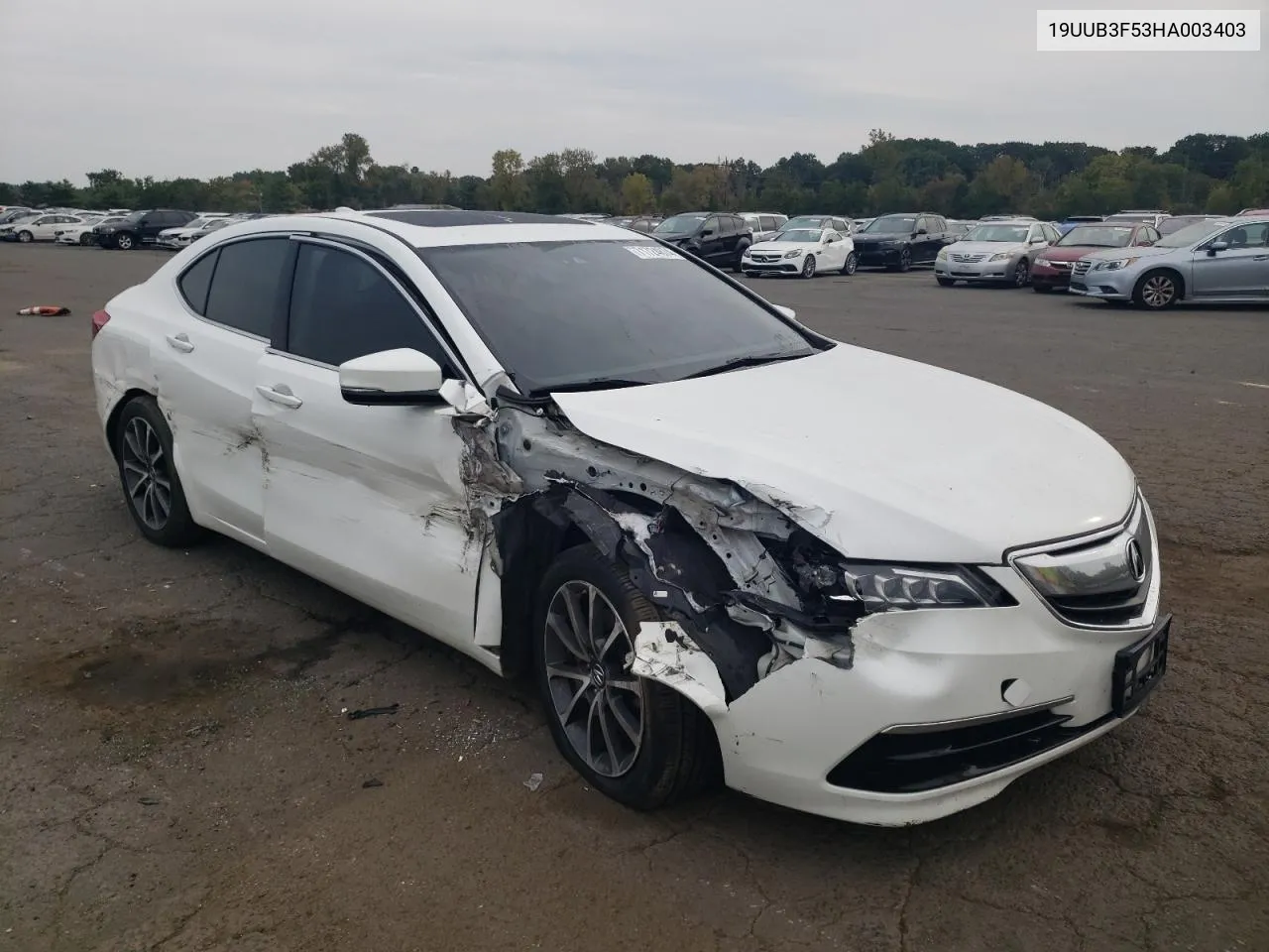 19UUB3F53HA003403 2017 Acura Tlx Tech