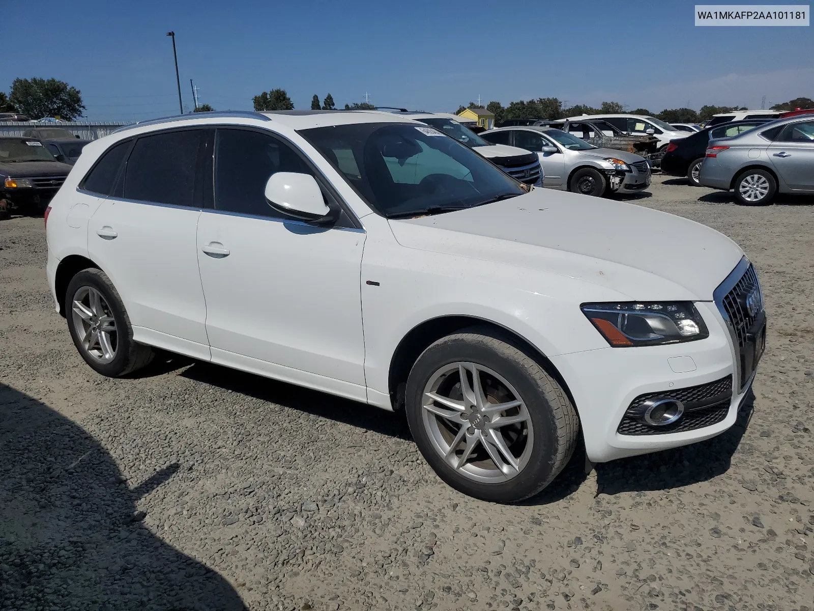 WA1MKAFP2AA101181 2010 Audi Q5 Premium Plus