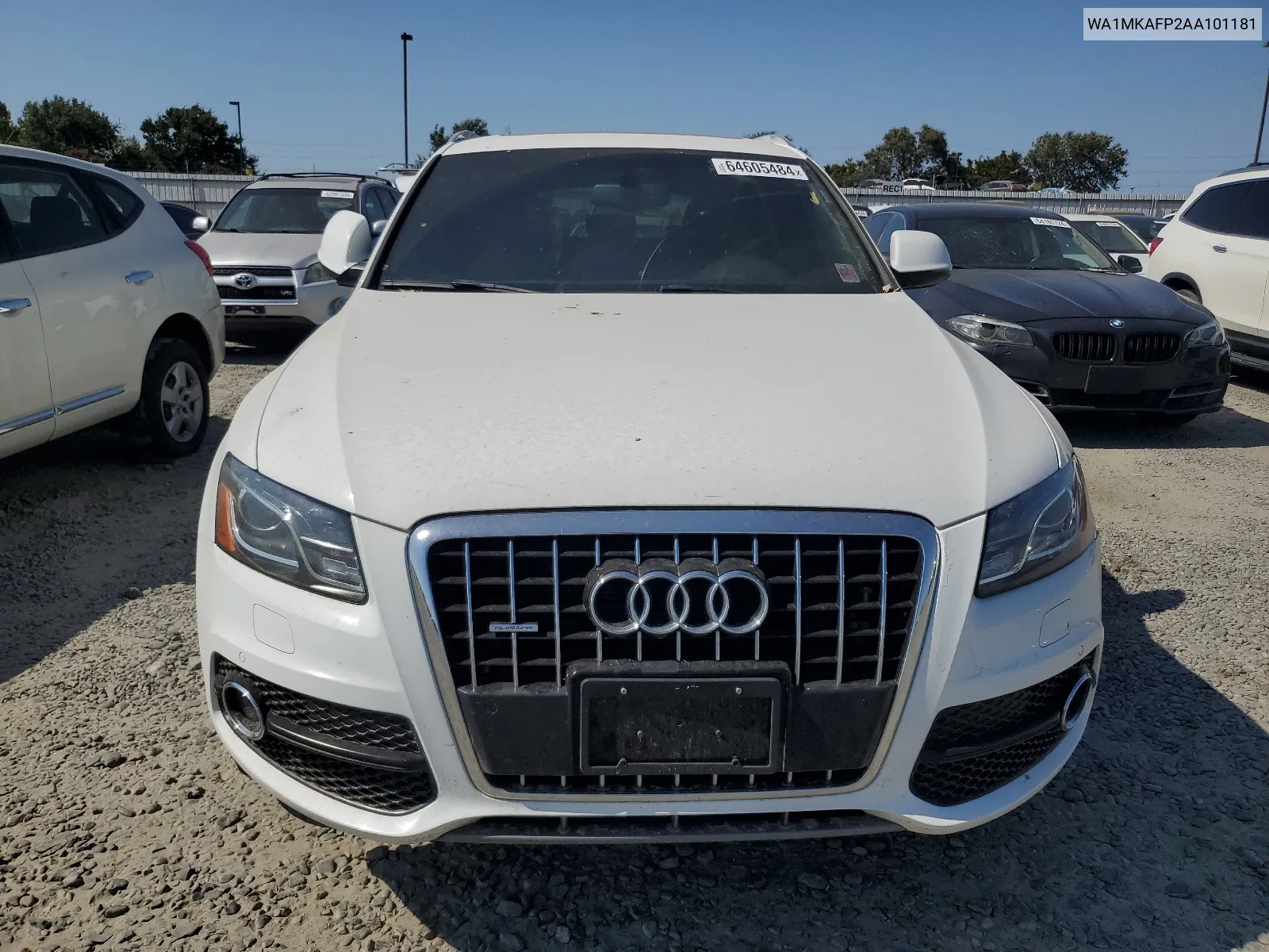 2010 Audi Q5 Premium Plus VIN: WA1MKAFP2AA101181 Lot: 64605484