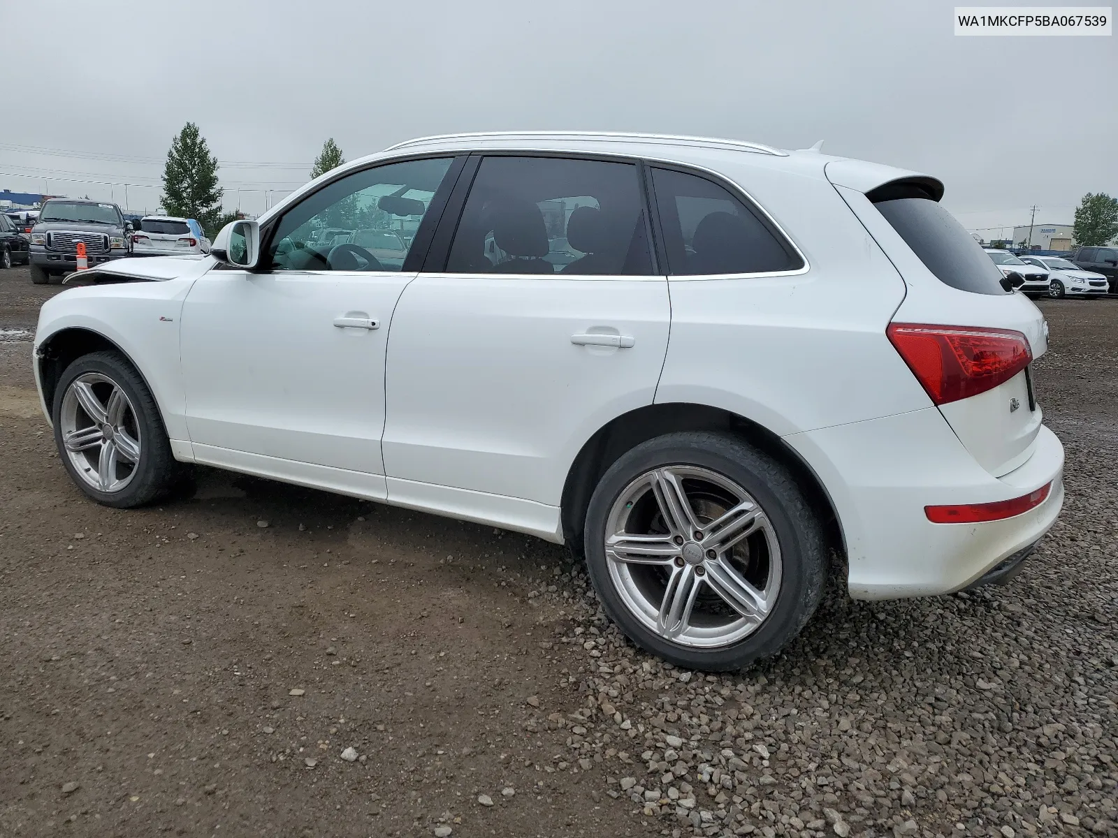 WA1MKCFP5BA067539 2011 Audi Q5 Premium Plus