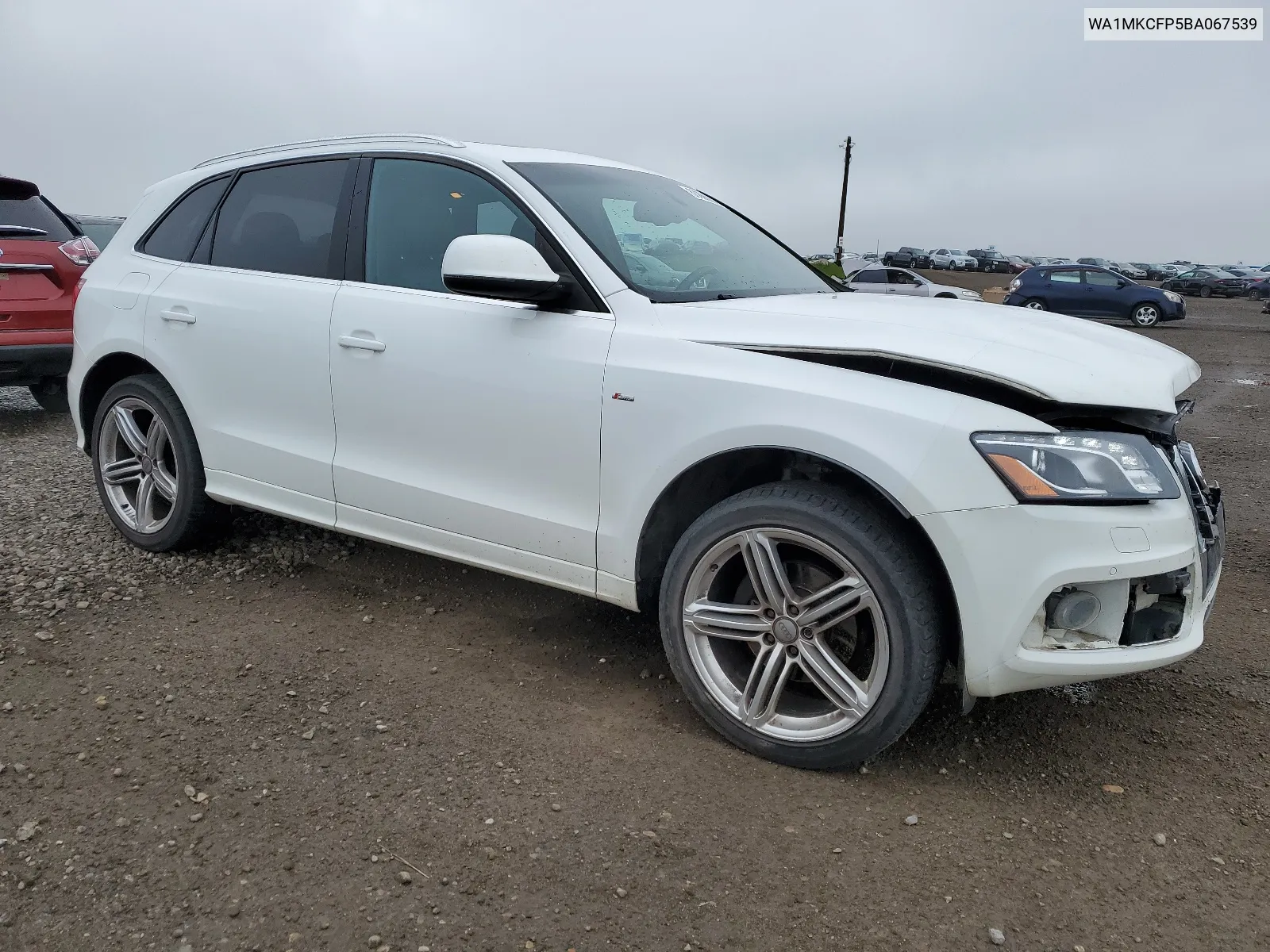 WA1MKCFP5BA067539 2011 Audi Q5 Premium Plus