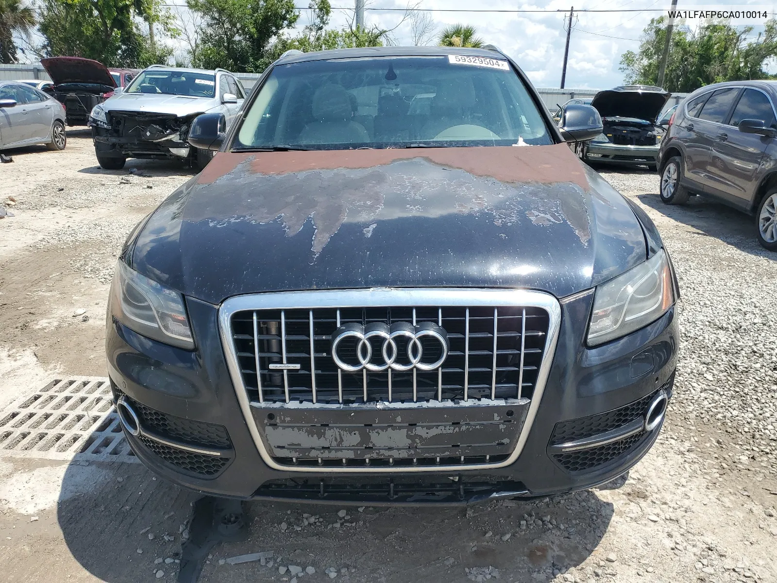 2012 Audi Q5 Premium Plus VIN: WA1LFAFP6CA010014 Lot: 59329504