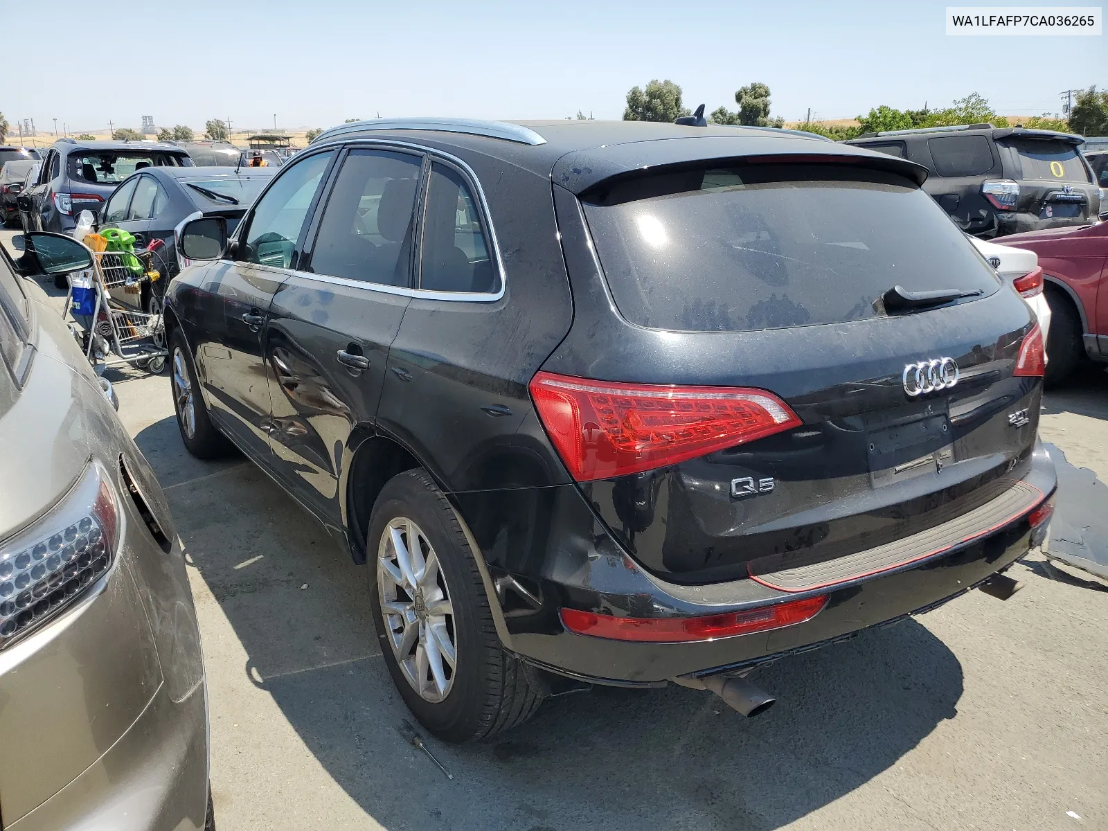 2012 Audi Q5 Premium Plus VIN: WA1LFAFP7CA036265 Lot: 61761424