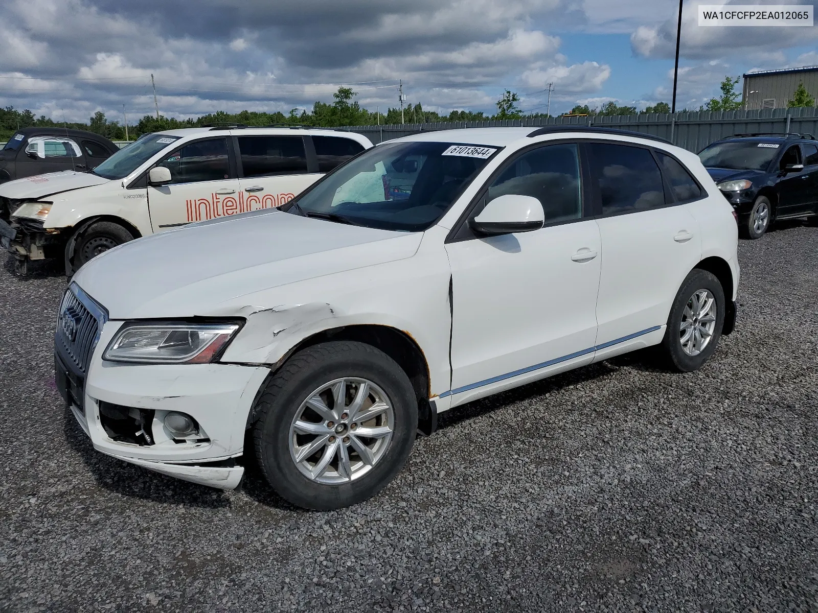 2014 Audi Q5 Premium VIN: WA1CFCFP2EA012065 Lot: 61013644