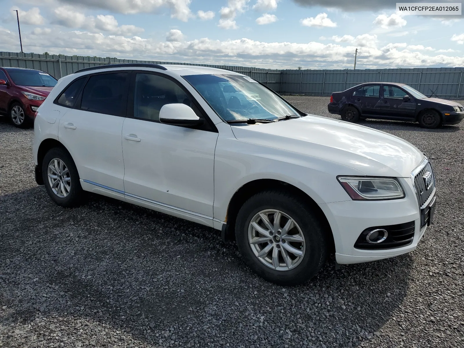 2014 Audi Q5 Premium VIN: WA1CFCFP2EA012065 Lot: 61013644