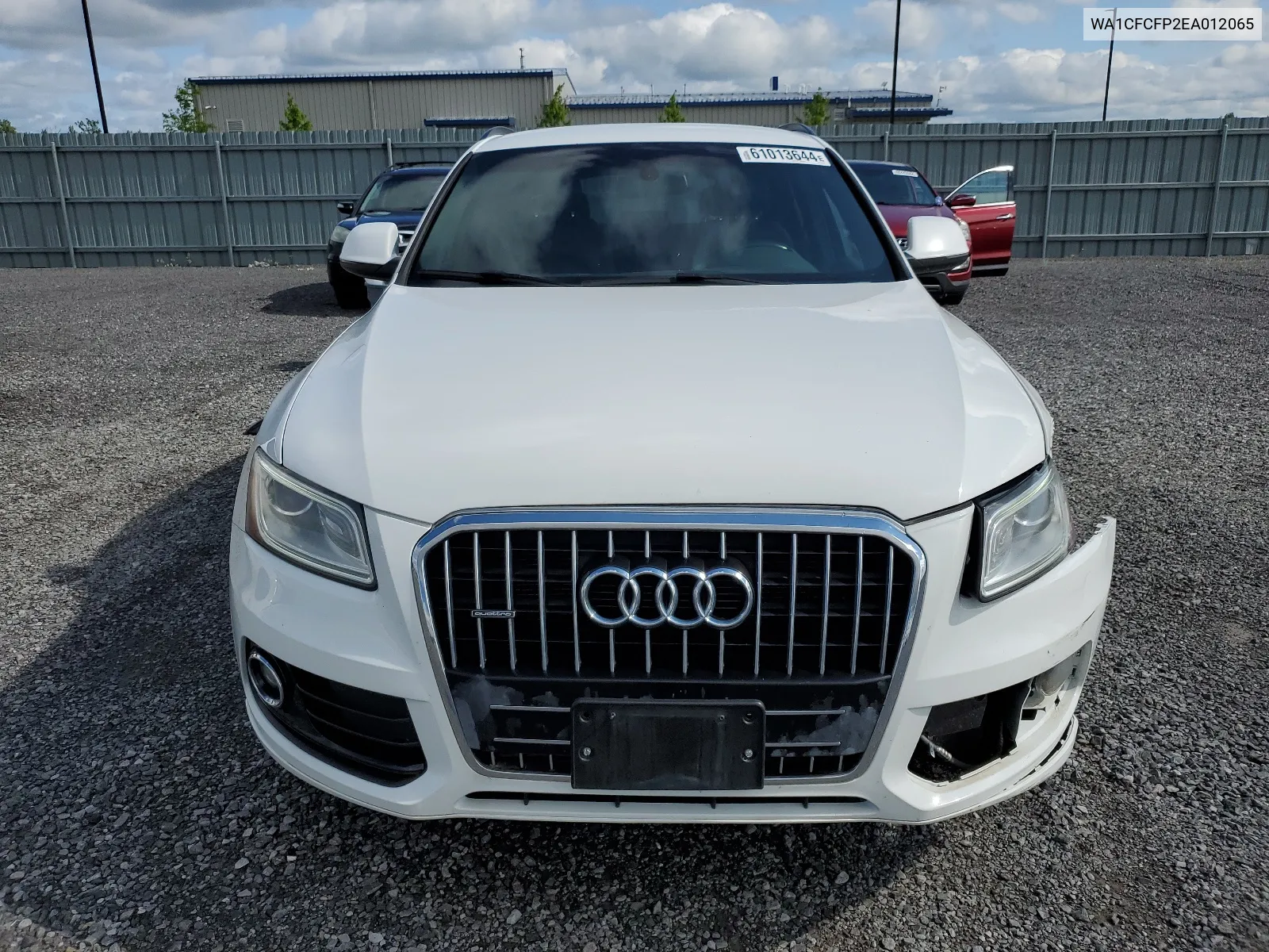 2014 Audi Q5 Premium VIN: WA1CFCFP2EA012065 Lot: 61013644