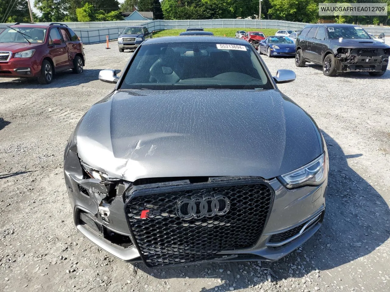 2014 Audi S5 Premium Plus VIN: WAUCGAFR1EA012709 Lot: 55313694