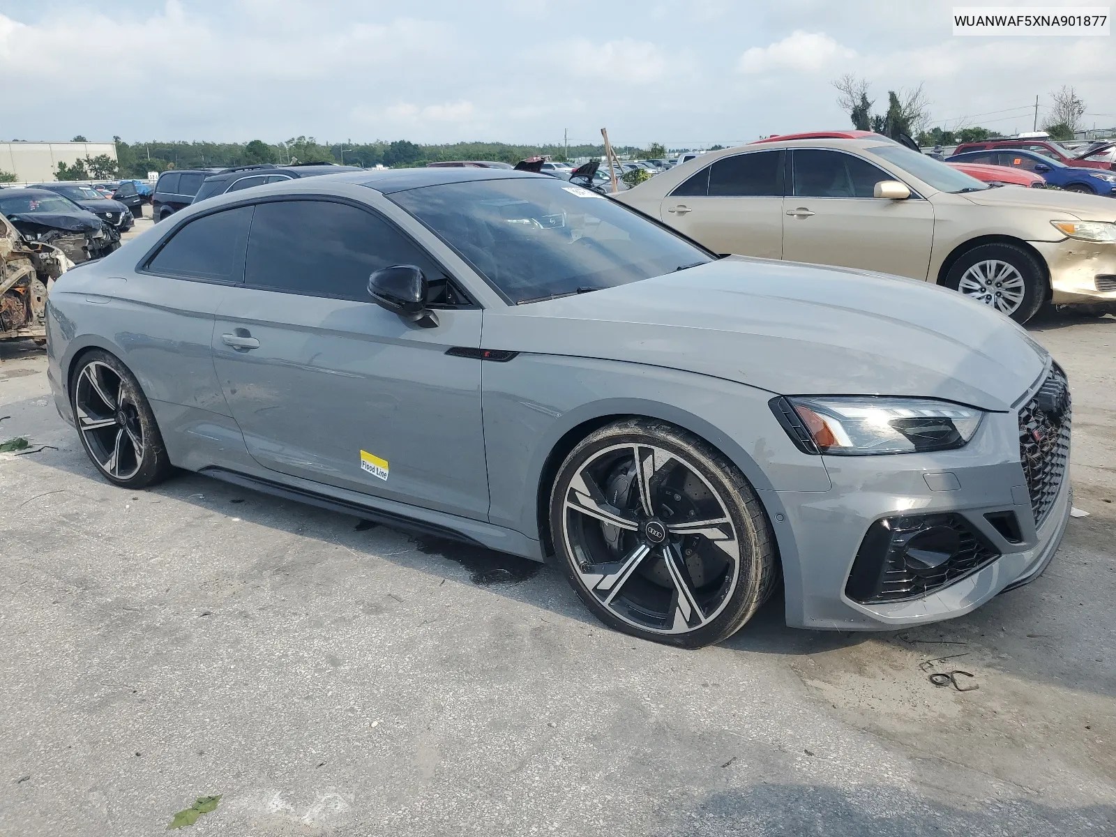 2022 Audi Rs5 VIN: WUANWAF5XNA901877 Lot: 66475864