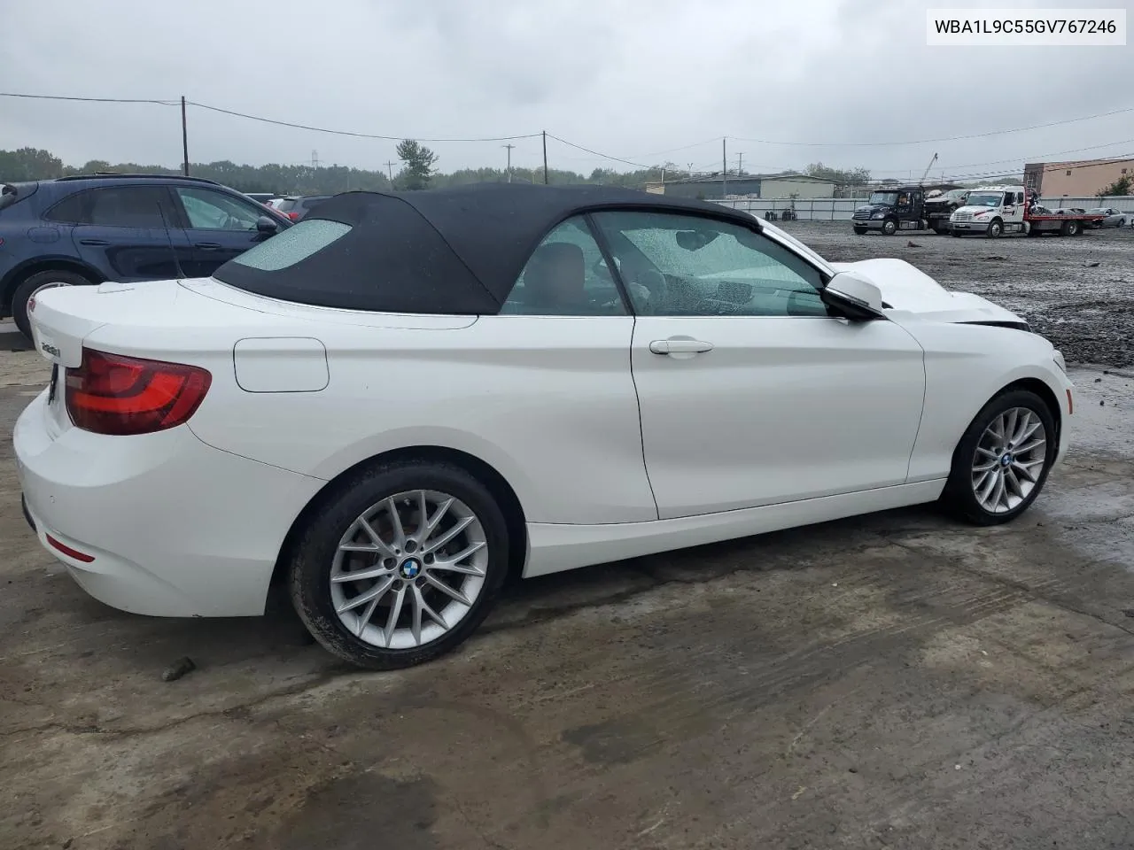 WBA1L9C55GV767246 2016 BMW 228 Xi Sulev