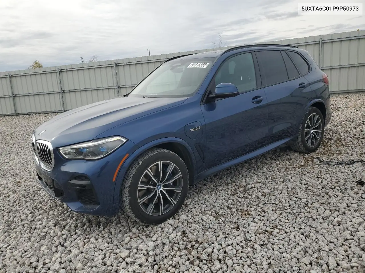 5UXTA6C01P9P50973 2023 BMW X5 xDrive45E