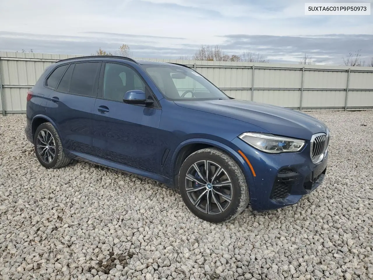 5UXTA6C01P9P50973 2023 BMW X5 xDrive45E