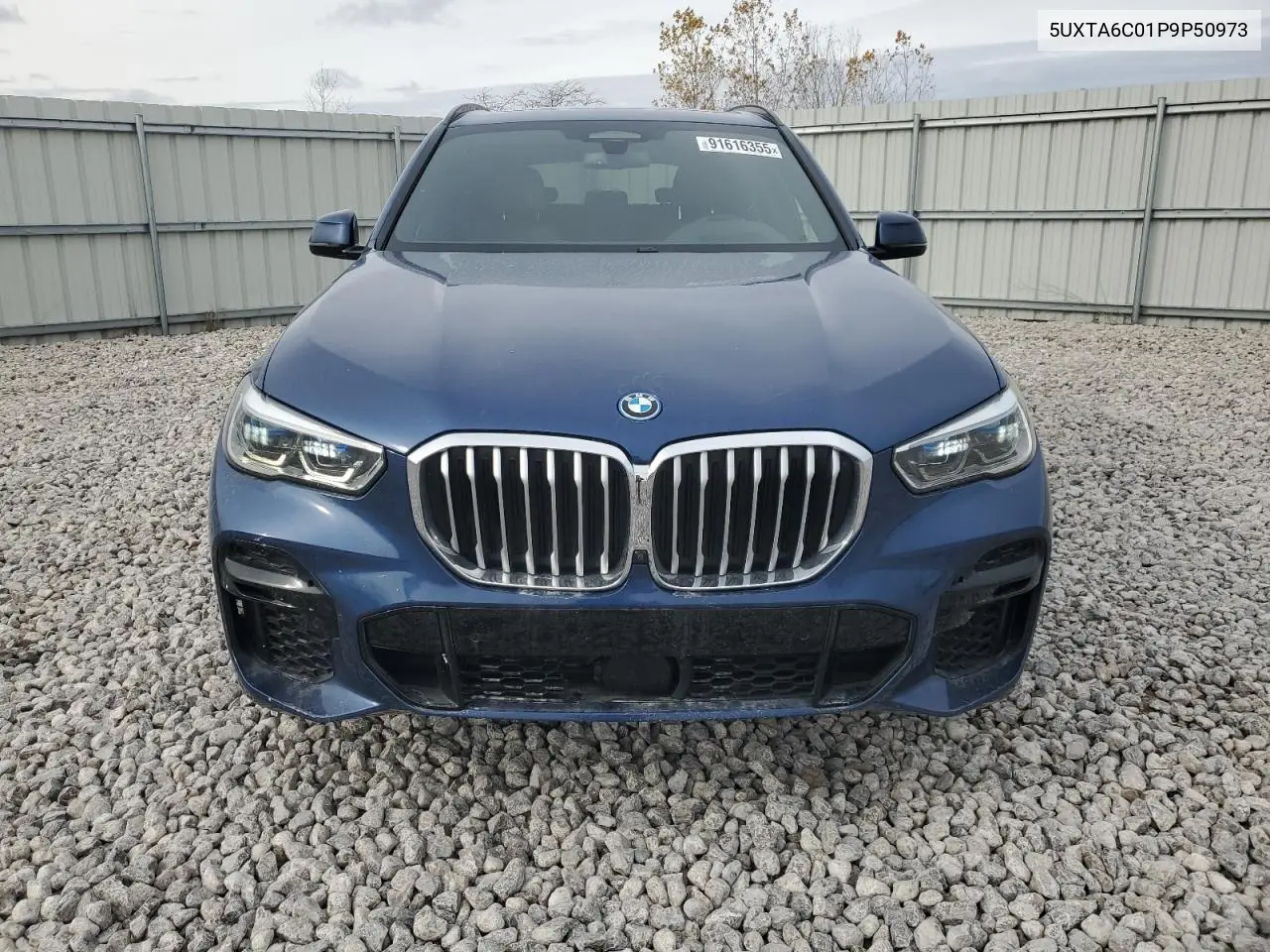 5UXTA6C01P9P50973 2023 BMW X5 xDrive45E