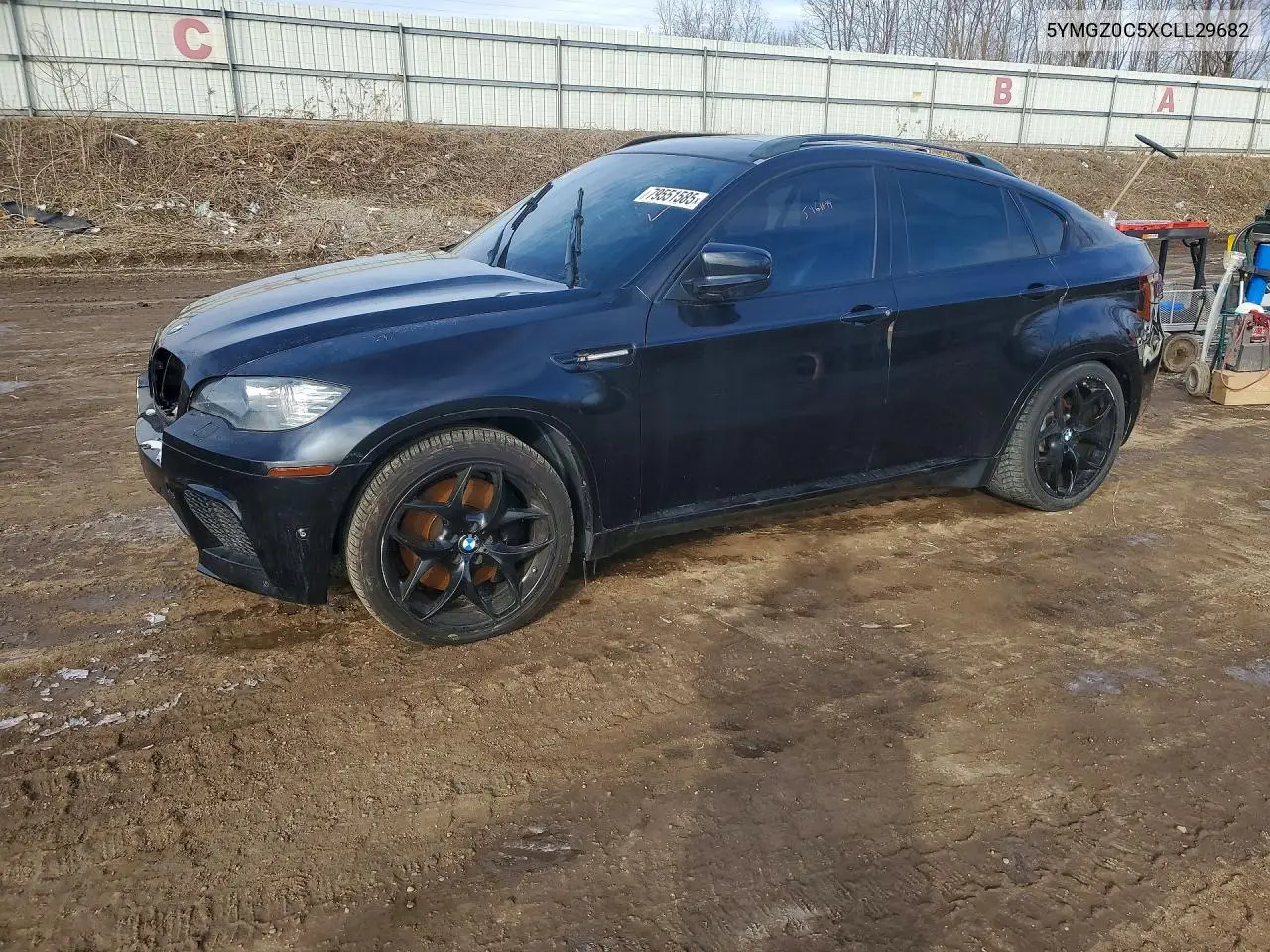 5YMGZ0C5XCLL29682 2012 BMW X6 M