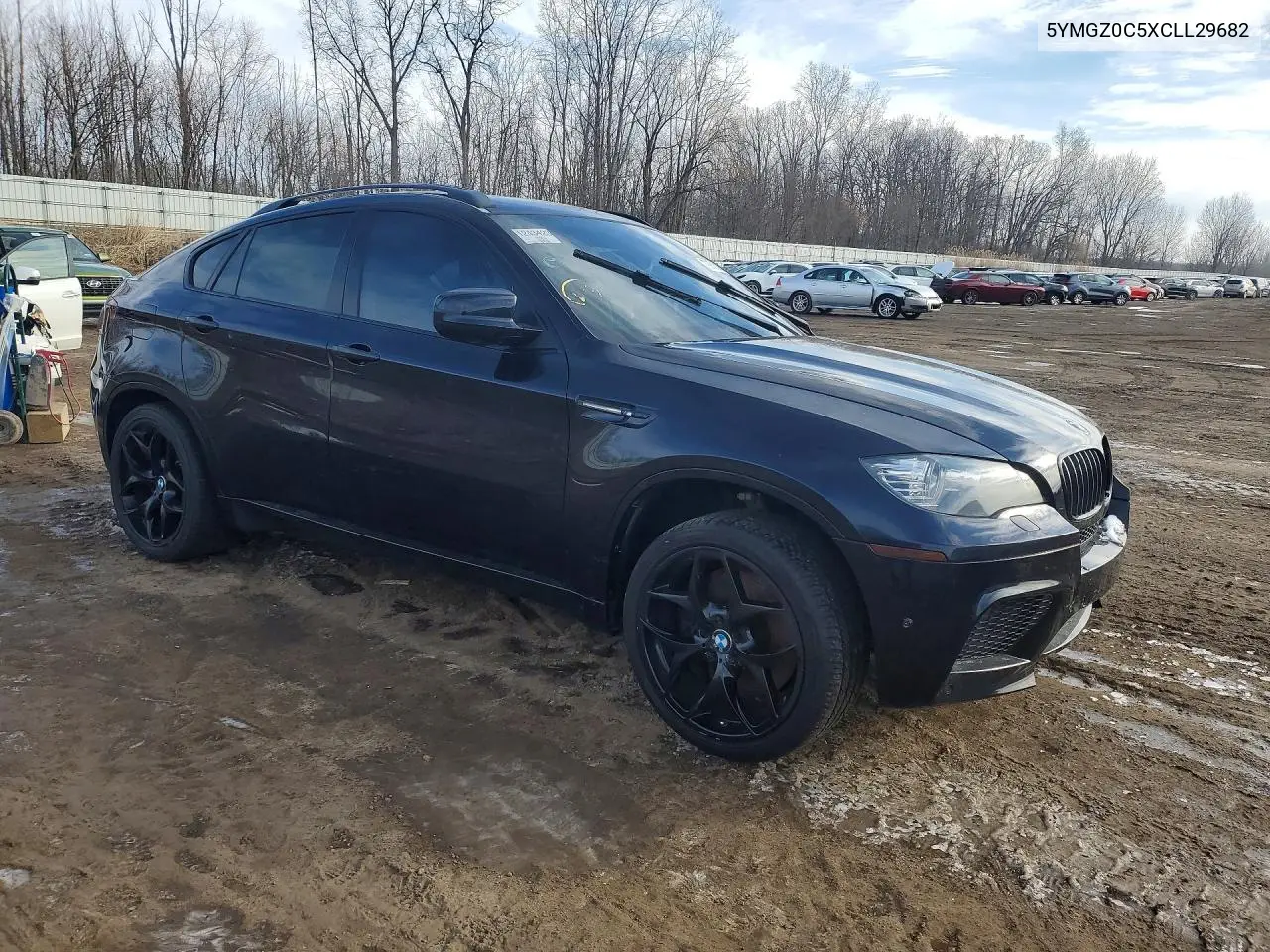 5YMGZ0C5XCLL29682 2012 BMW X6 M