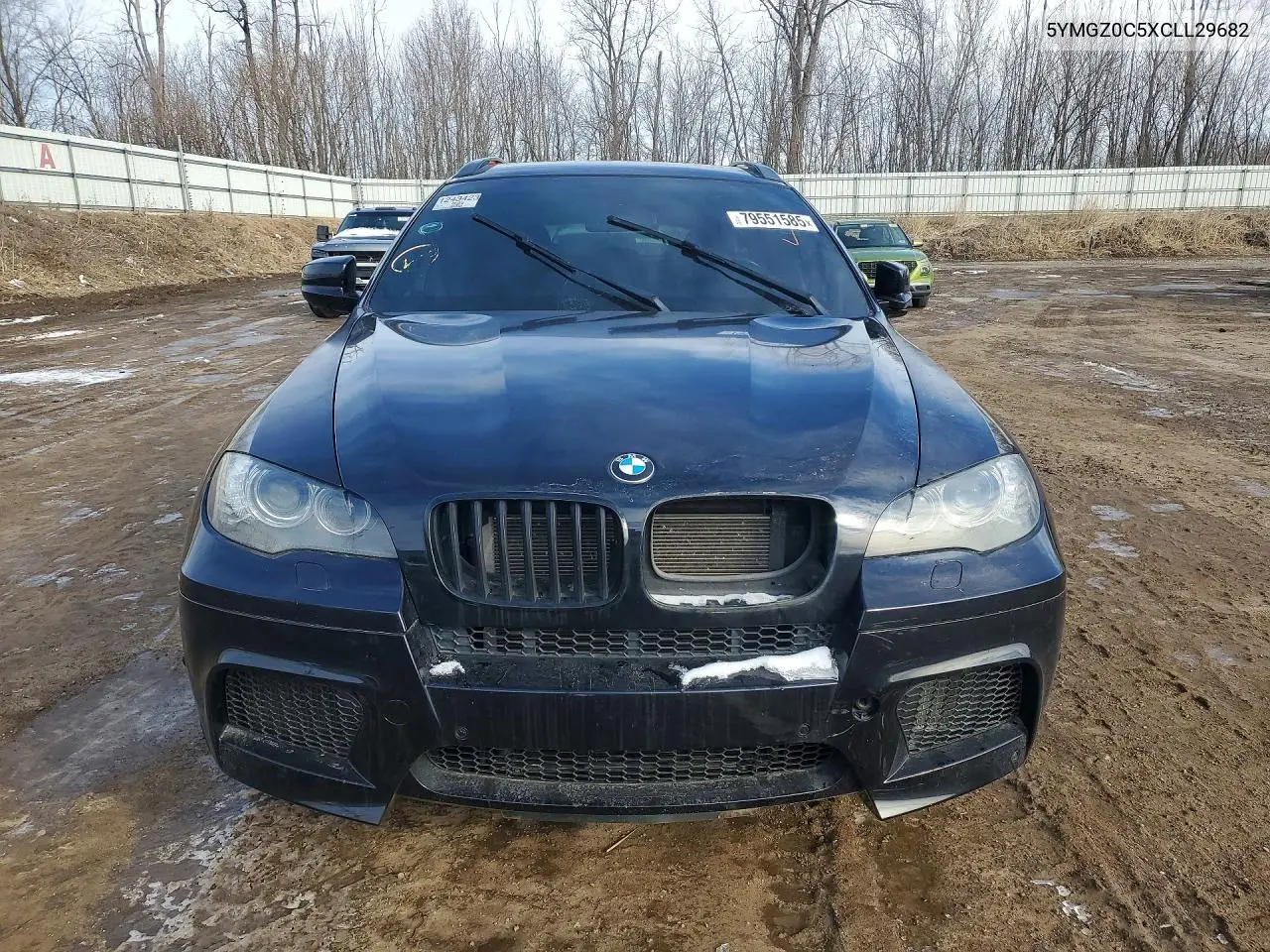 5YMGZ0C5XCLL29682 2012 BMW X6 M