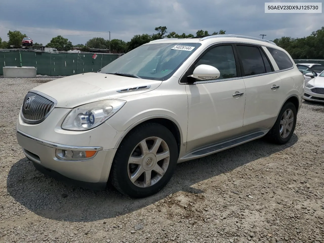 2009 Buick Enclave Cxl VIN: 5GAEV23DX9J125730 Lot: 54026144