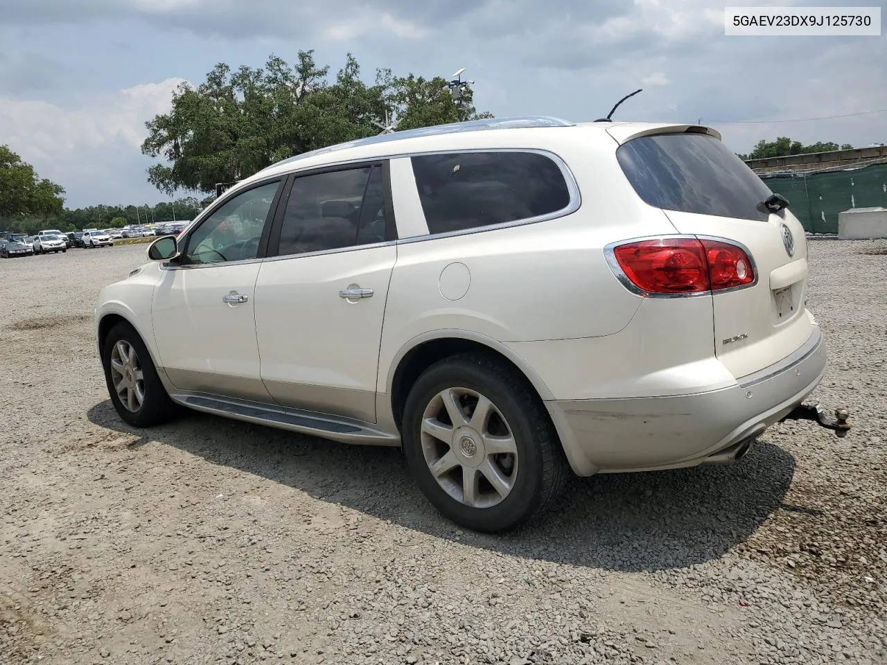 2009 Buick Enclave Cxl VIN: 5GAEV23DX9J125730 Lot: 54026144