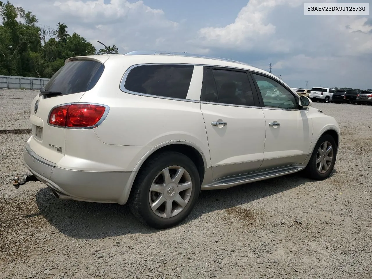 2009 Buick Enclave Cxl VIN: 5GAEV23DX9J125730 Lot: 54026144