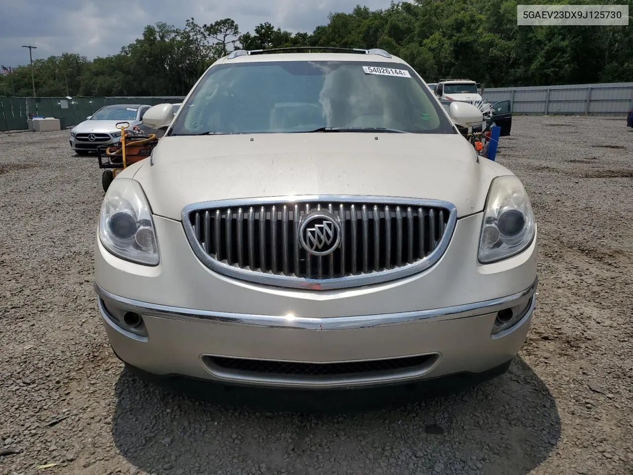 2009 Buick Enclave Cxl VIN: 5GAEV23DX9J125730 Lot: 54026144