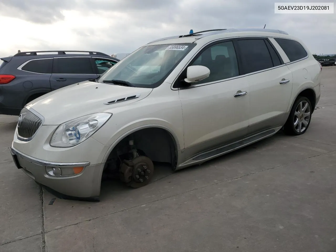 2009 Buick Enclave Cxl VIN: 5GAEV23D19J202081 Lot: 55896534