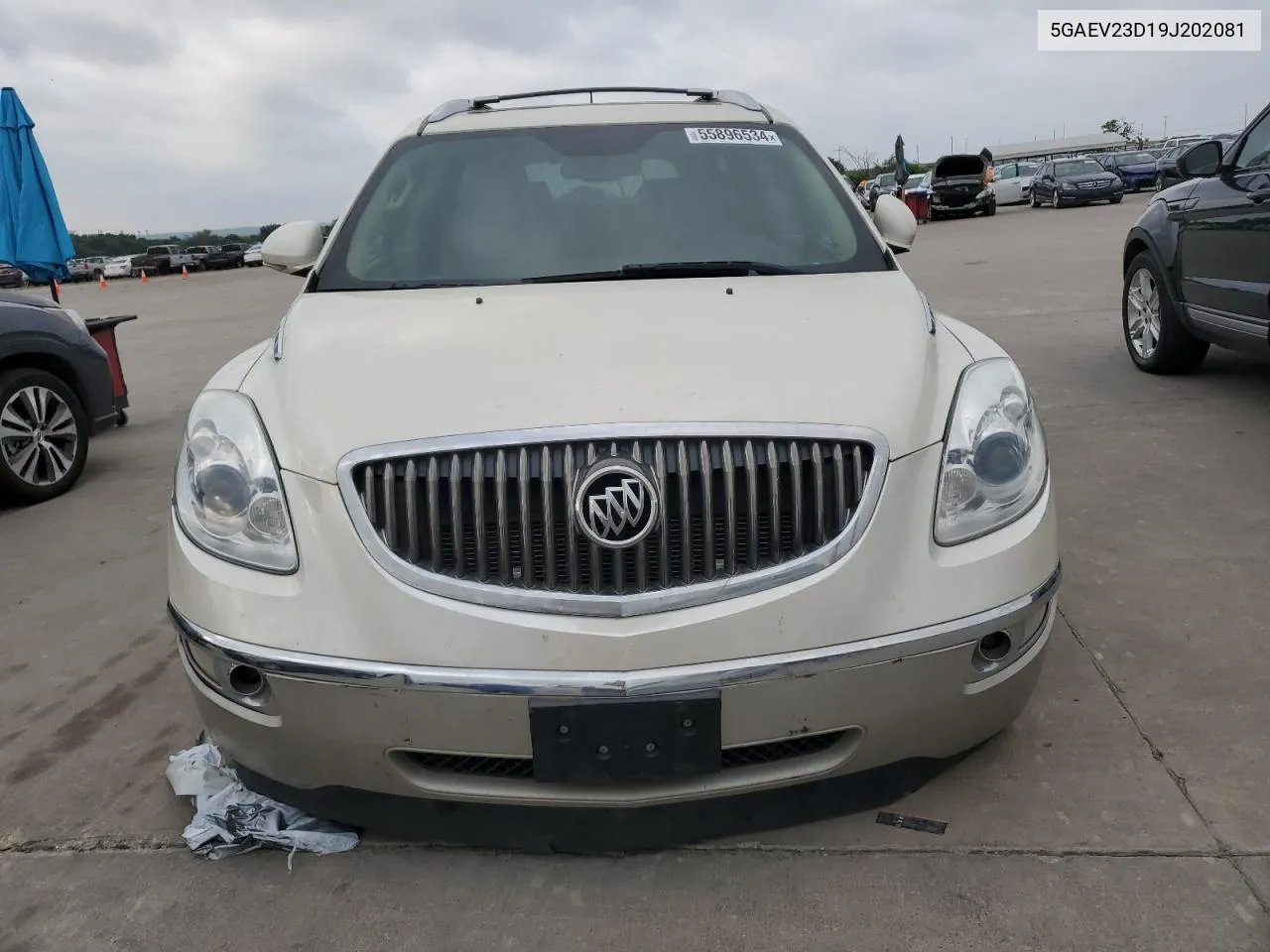 2009 Buick Enclave Cxl VIN: 5GAEV23D19J202081 Lot: 55896534