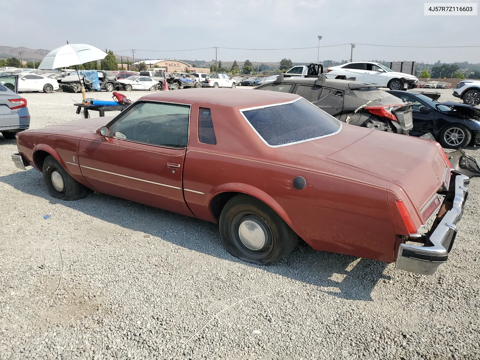 1977 Buick Regal VIN: 4J57R7Z116603 Lot: 62308304