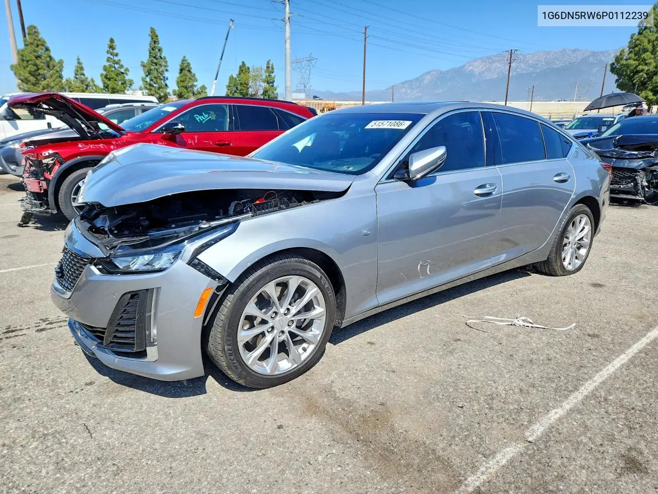 2023 Cadillac Ct5 Premium Luxury VIN: 1G6DN5RW6P0112239 Lot: 51571086