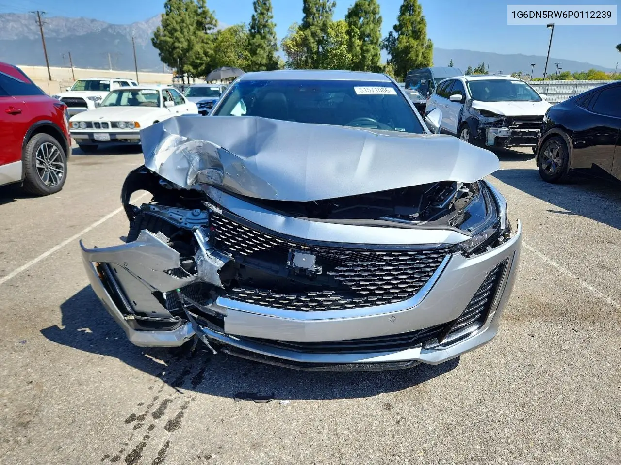 2023 Cadillac Ct5 Premium Luxury VIN: 1G6DN5RW6P0112239 Lot: 51571086