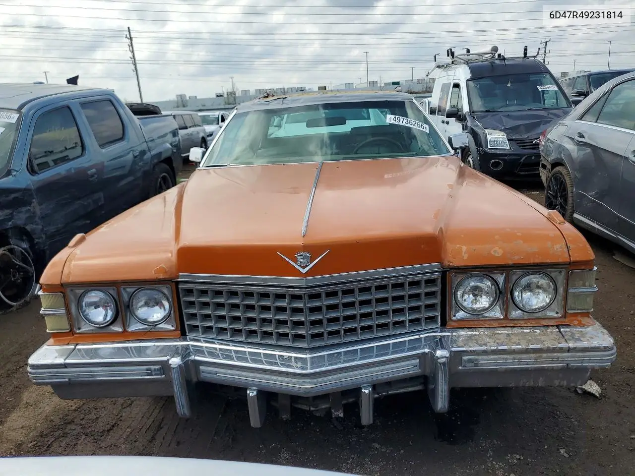 1974 Cadillac Deville VIN: 6D49R40231814 Lot: 49736266