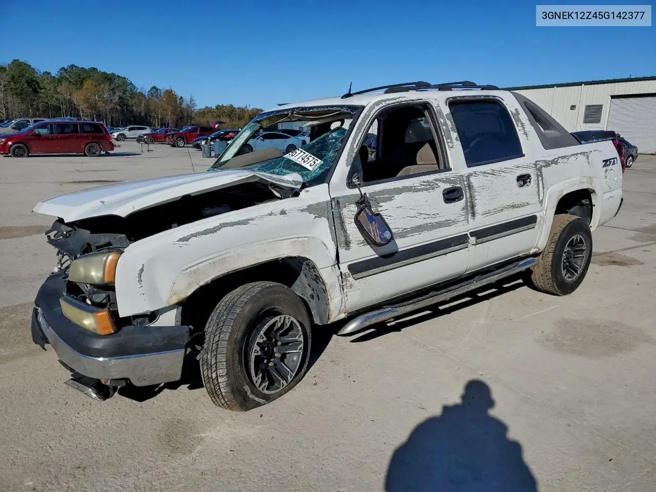 3GNEK12Z45G142377 2005 Chevrolet Avalanche K1500