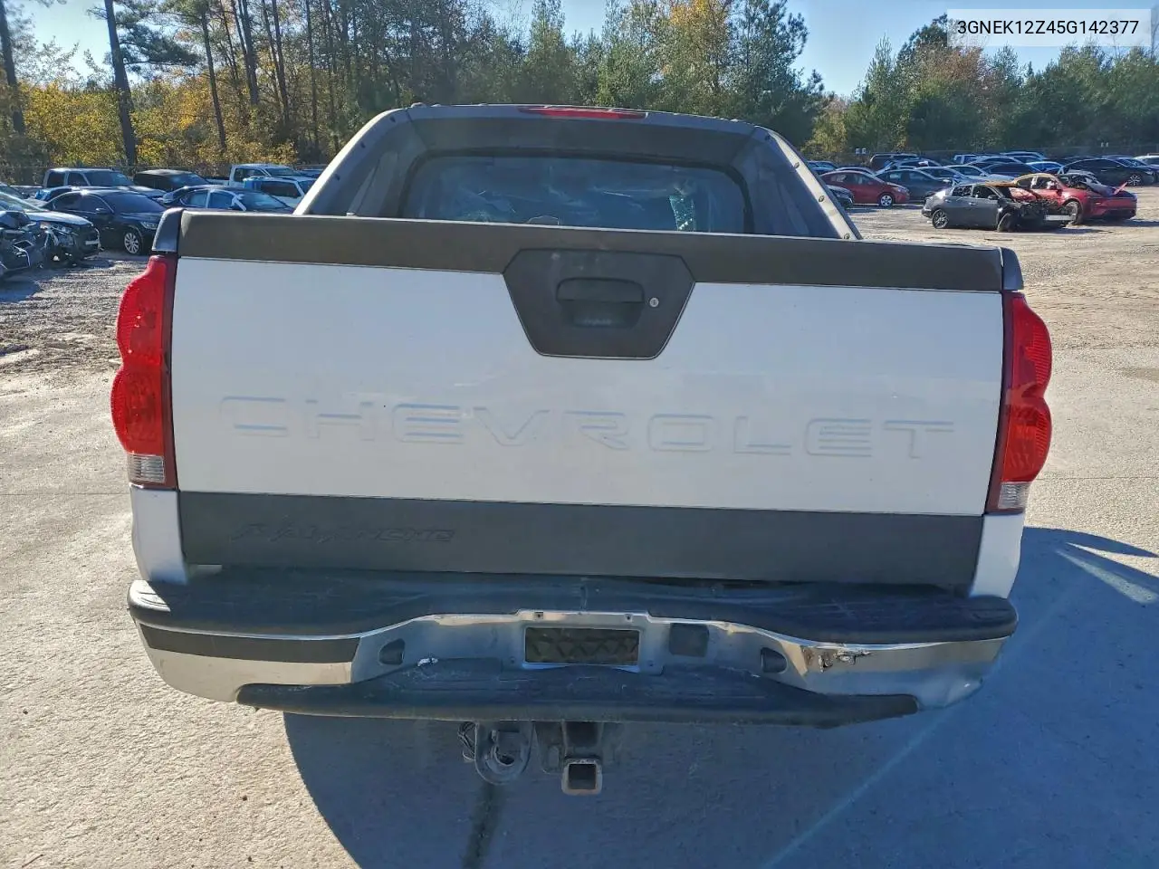 3GNEK12Z45G142377 2005 Chevrolet Avalanche K1500