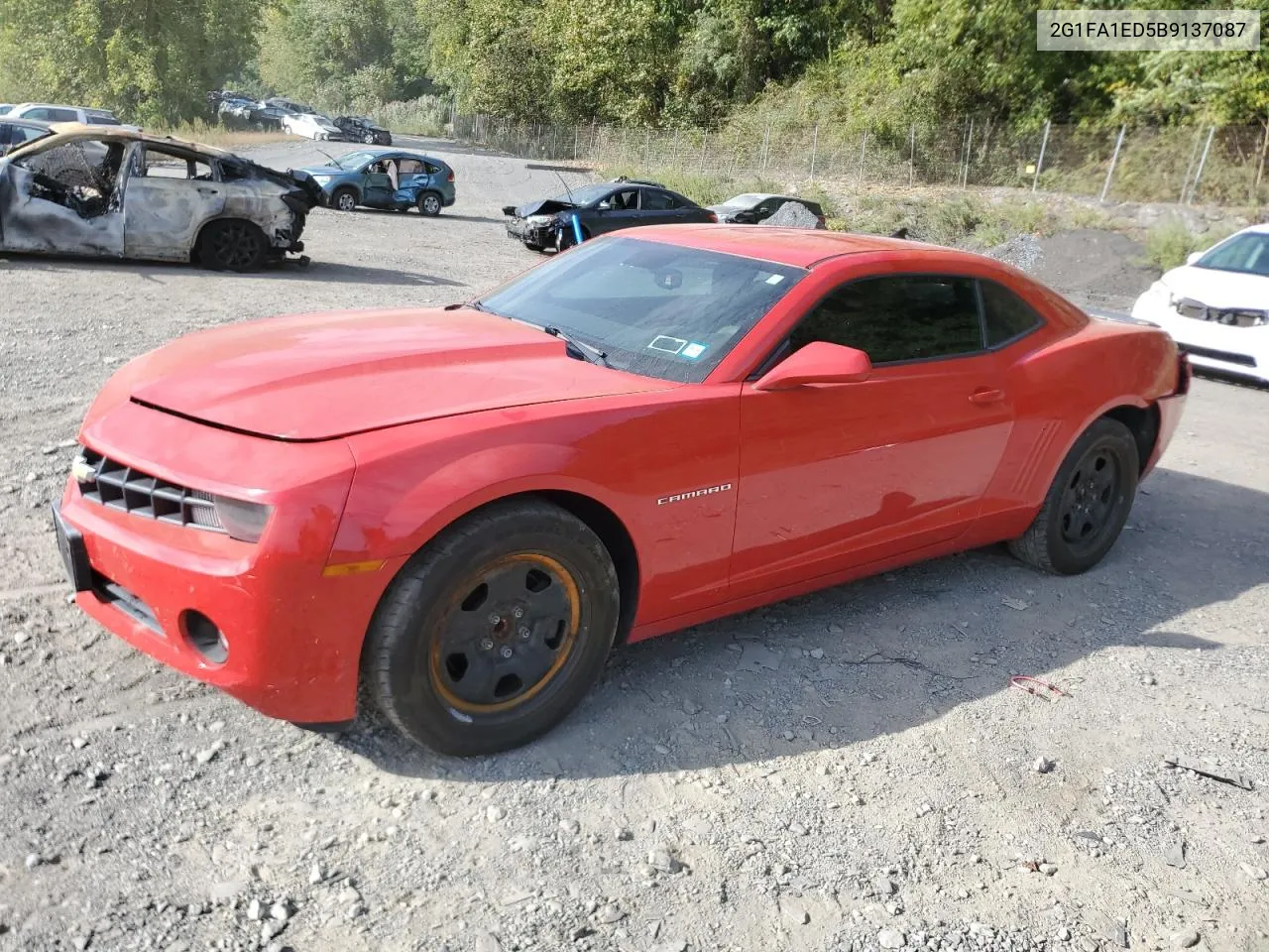 2011 Chevrolet Camaro Ls VIN: 2G1FA1ED5B9137087 Lot: 70852924