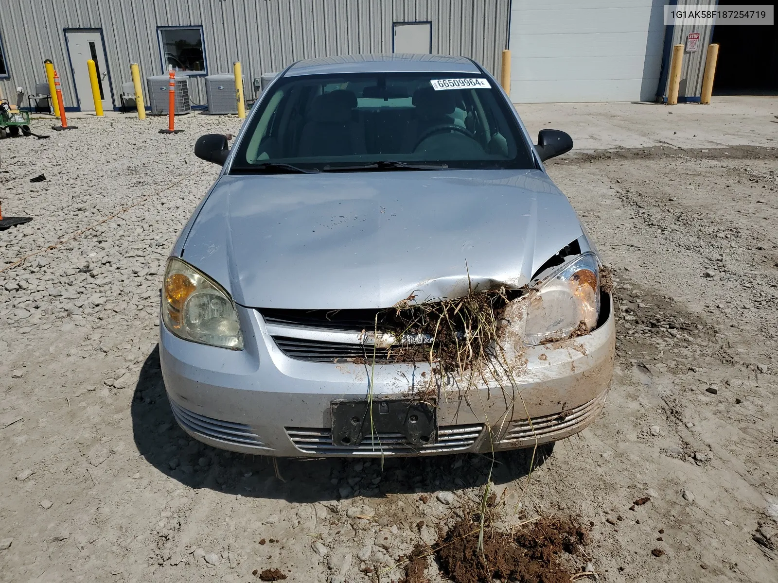 2008 Chevrolet Cobalt Ls VIN: 1G1AK58F187254719 Lot: 66509964